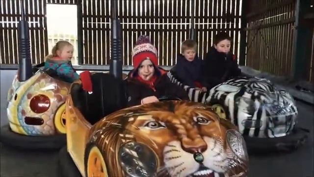 Knowsley Safari Park Dodgems 2015