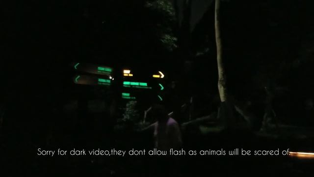 CHRISTMAS WONDERLAND TO NIGHT SAFARI SINGAPORE | Elcie in Singapore