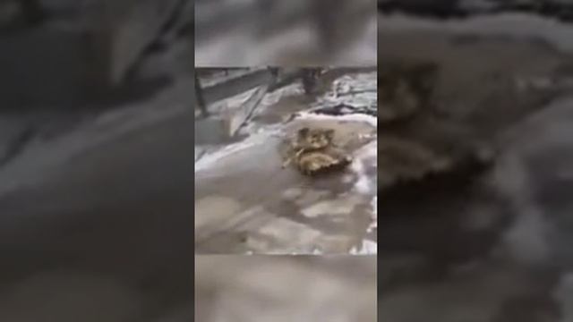 1000269977.mp4