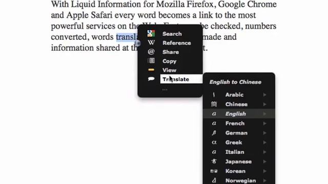 Liquid Information for Chrome, Safari and Firefox Demo