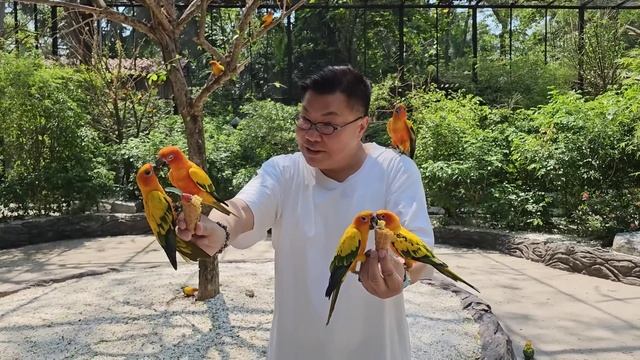 2023/2/28 💋🦧 再訪可能是全亞洲最大的野生動物園~曼谷Safari World~ 熱情猩猩咀完「慧中」咀「慧冲」！動物Cafe有甚麼嘢食？~✹香港#移居泰國 旅遊達人胡慧冲 泰國實地報告