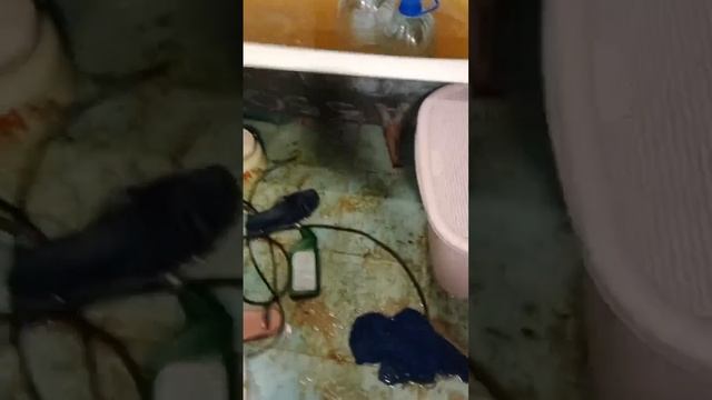 В Усть-Куте одну из квартир затопило канализационными водами