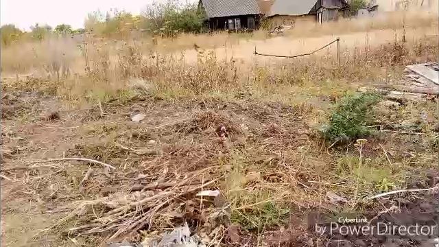 Давайте поработаем / Жизнь в селе.