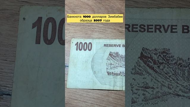 Банкнота Зимбабве 🇿🇼 1000 долларов 2007 года 🔥🔥🔥🔥🔥