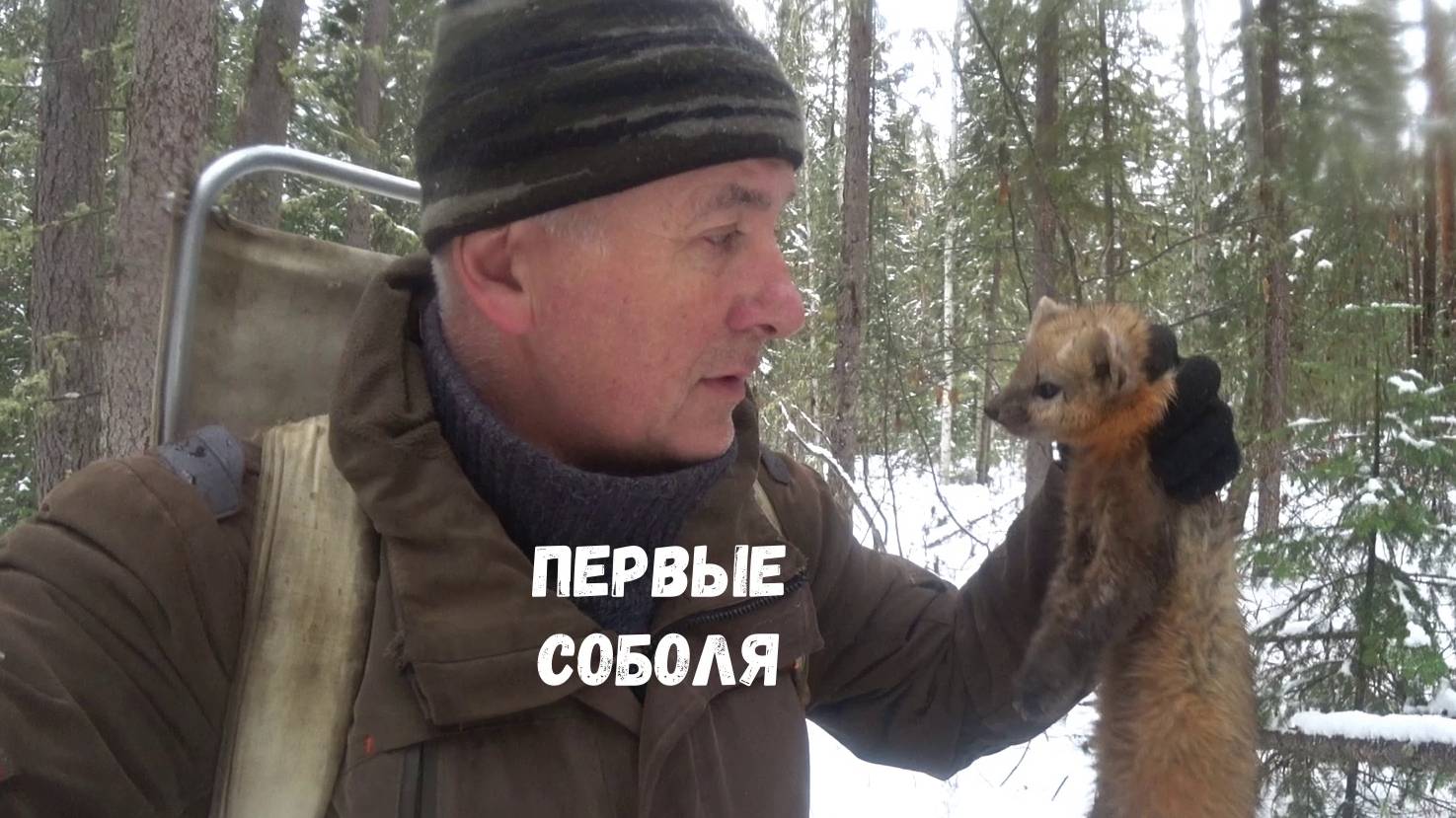ПЕРВЫЕ СОБОЛЯ СЕЗОНА