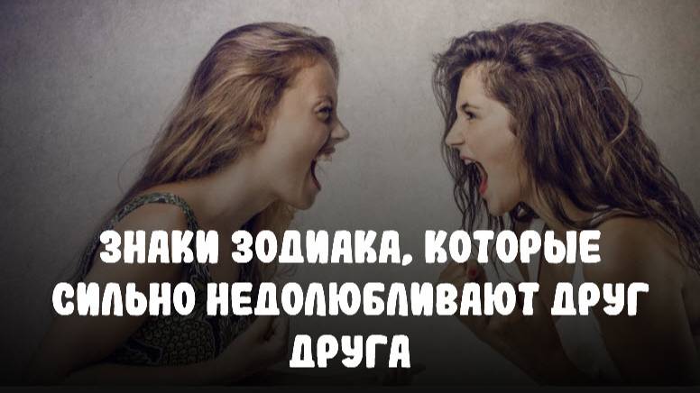 Знаки Зодиака, которые сильно недолюбливают друг друга. Их споры будут бурными