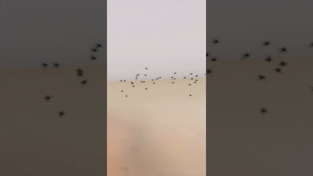 Как быстро убежали бы вы? 🕷 #пауки#паук#хэллоуин#английский#английскийязык