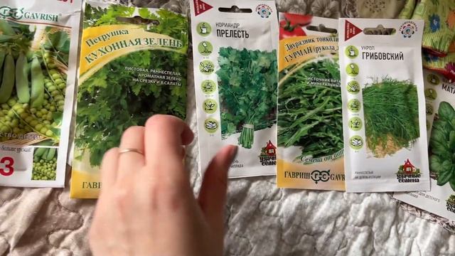 ДОМ В ДЕРЕВНЕ/КУПИЛИ ХОЛОДИЛЬНИК/ПЛАНИРУЕМ УЧАСТОК/ САЖАЕМ ВИНОГРАД#домвдеревне #дача