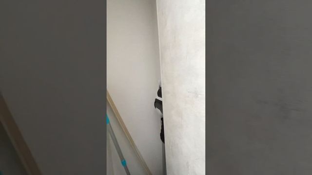 Домодедово Таун
