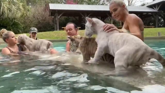 The Undertaker and Michelle McCool Visits Myrtle Beach Safari  With Tigers