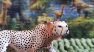 Reviews #175 | Schleich 2016 Female Cheetah
