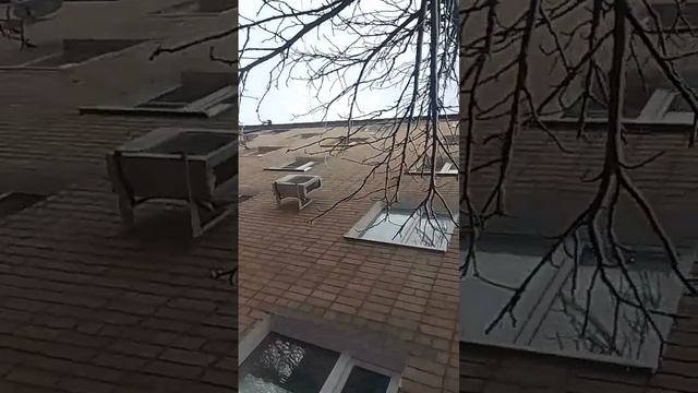 Внешняя сторона вопроса. Грибок в квартире.