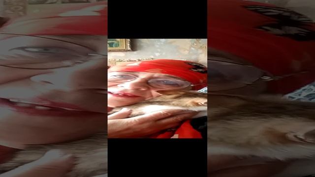 VID_20241027_134342.mp4Шерстяная моя любовь!!!
