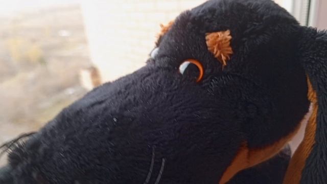 ПросТоБасиНо😺 1 серия УЖАСНАЯ👻 ТРЕНИРОВКА