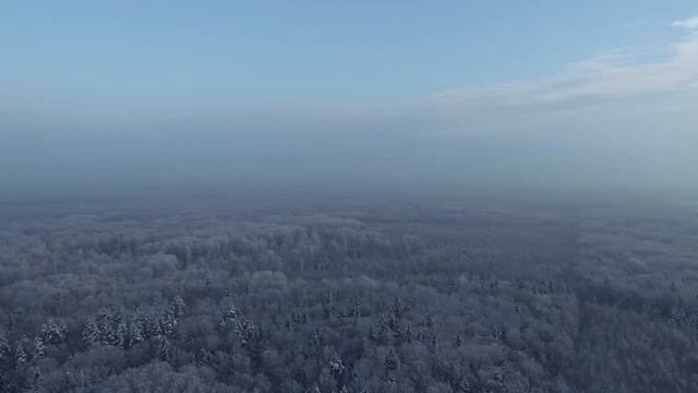 Зимний лес с высоты птичьего полёта, Маливское лесничество, дек. 2021. Московская область (Коломна).