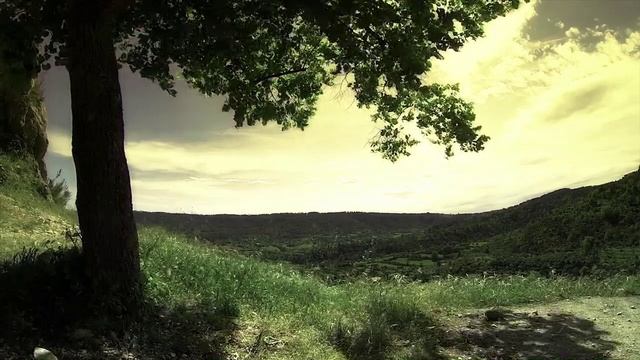 Качаю счастье на качелях
