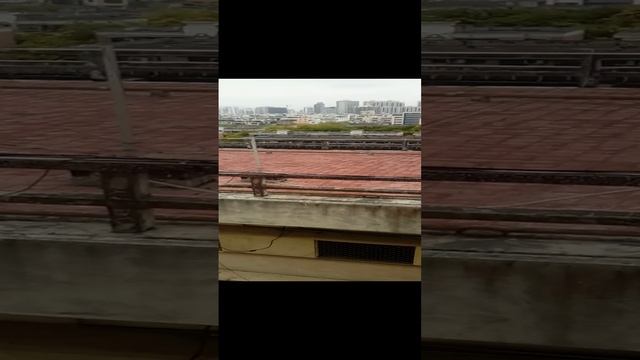 Номер в отеле Харвест Сэвью (Harvest Seaview Hotel Sanya 4) и вид на море.