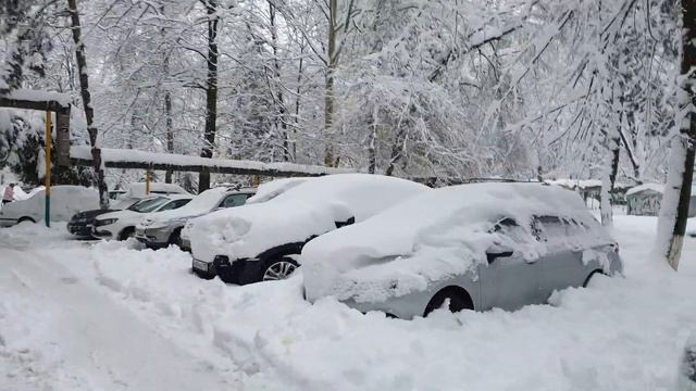 снег на Гидрострое,  Краснодар 23.01.2022