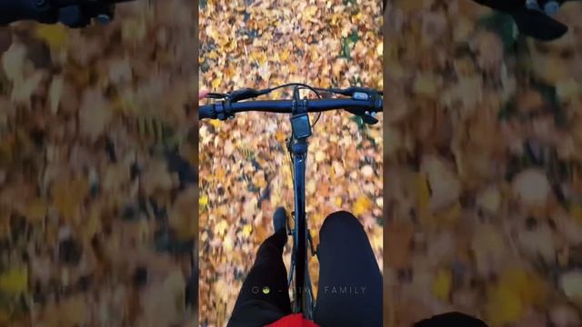 Осень #октябрь #october #осень #autumn #Калининград #велосипед #velo #bike #bicycle