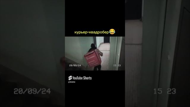 Квадробер-курьер новый тренд