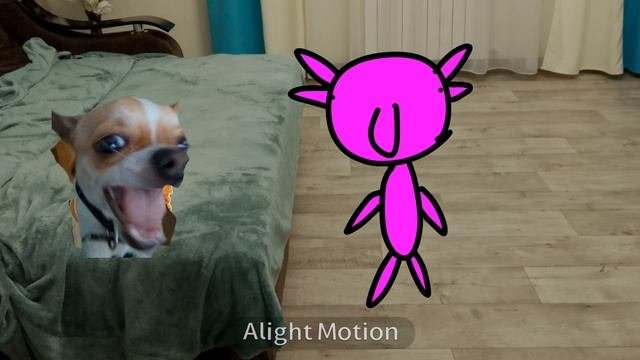 жиза