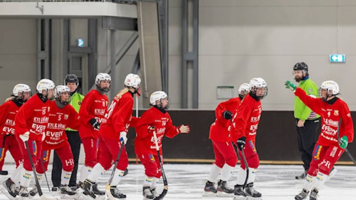 «Hammarby IF»-«Uppsala BOIS» 27 Okt Elitserien Dam 2024-25