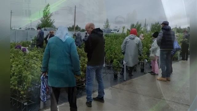 Для Таких Пожилых Людей Возникнут Новые Условия