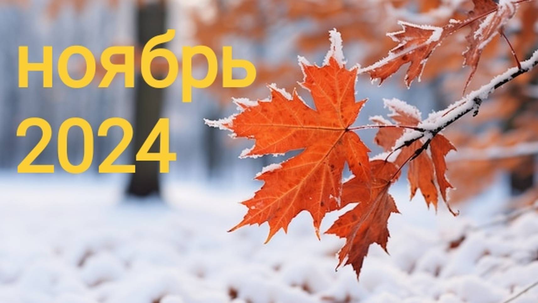 Ноябрь 2024