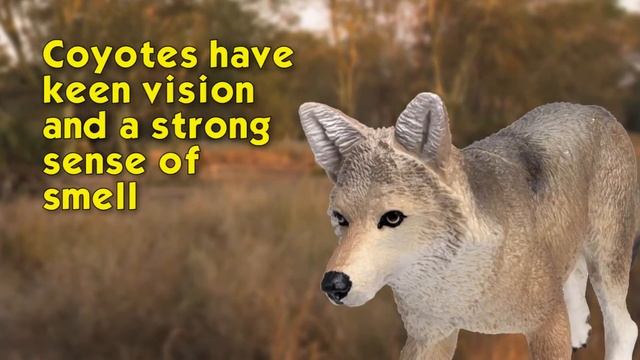 Safari LTD Wild Wilderness Coyote