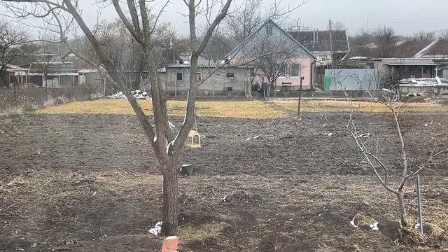ДОМ В ДЕРЕВНЕ/ ДЕЛАЮТ ДОРОГУ В ДЕРЕВНЕ/РЕМОНТ ИДЕТ МЕДЛЕННО/  #домвдеревне #дача #уютныебудни