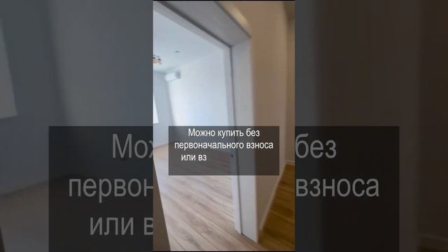 2к квартира от застройщика в Немецкой деревне, ипотека без первоначального взноса #новостройки