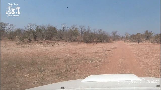 Matusadona National Park, far from a top park - Solo Africa Overland, Ep. 38