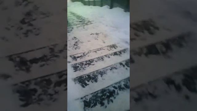Платформа Фабричная, Рязанское направление. Опять не чищен мост!  Бейтесь на ЭДОРОВЬЕ!!! (