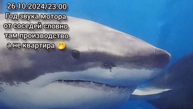 Виброколонка. Вибродинамик. Улица Кубинка дом 22 корпус 2