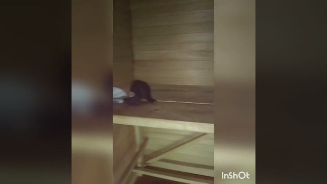 Дом 60 м² на участке 25 сот. деревня Буянцево, Новгородская область.