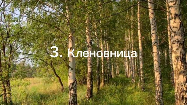 Топ 5 моих любимых КВ персонажей!|Солнечная Звезда|{~Sun•Star~}|#возрадимрукв