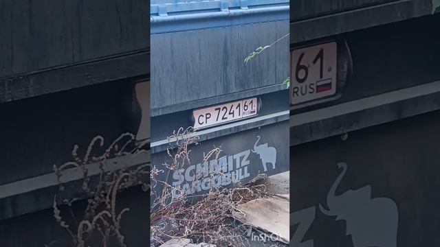 1000047130.mp4