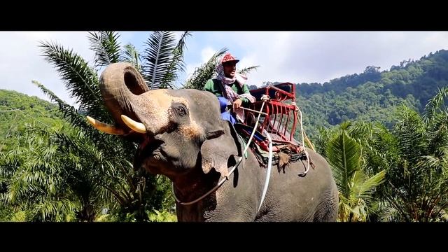 Amazing Phang Nga Safari Tour from Phuket | Price | Review | Avitip
