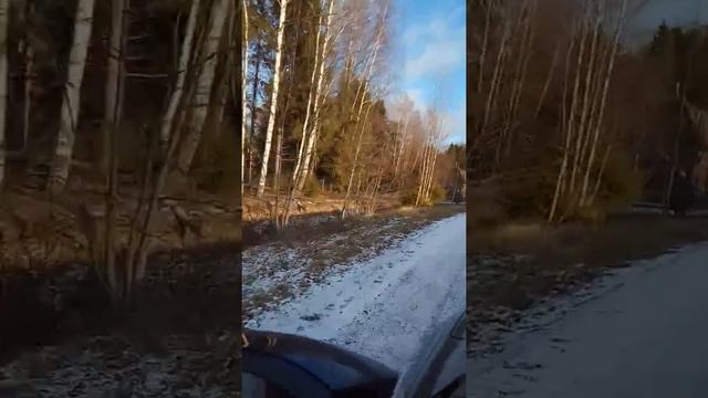 КП Водолей.Дом мечты на лесном острове