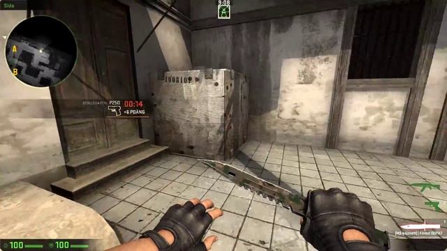 M9 Bayonet Forest DDPAT Field Tested Showcase