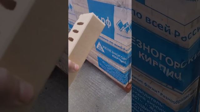 Красногорск д.Борзые