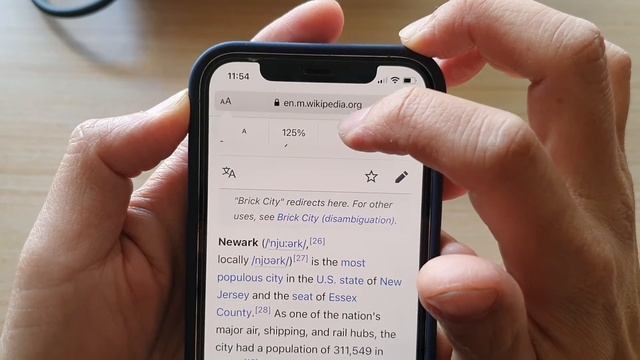 iPhone 12: How to Manually Change Safari Page Zoom to a Larger/Smaller Size