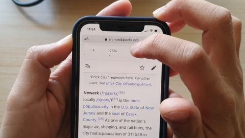 iPhone 12: How to Manually Change Safari Page Zoom to a Larger/Smaller Size