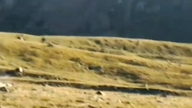 Поход Алма-Ата - Иссык-Куль 2001