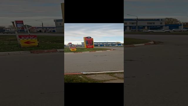 Как вы выживаете - а!?