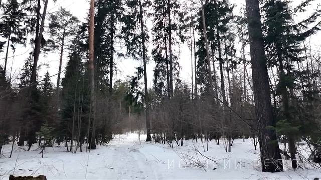 Вдовец приехал в глушь к бабке. А когда услышал эти слова поспешил к угасающей дочери