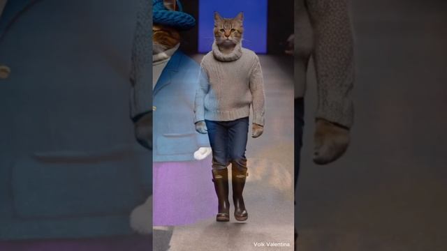 Котики.Подуим.Осень