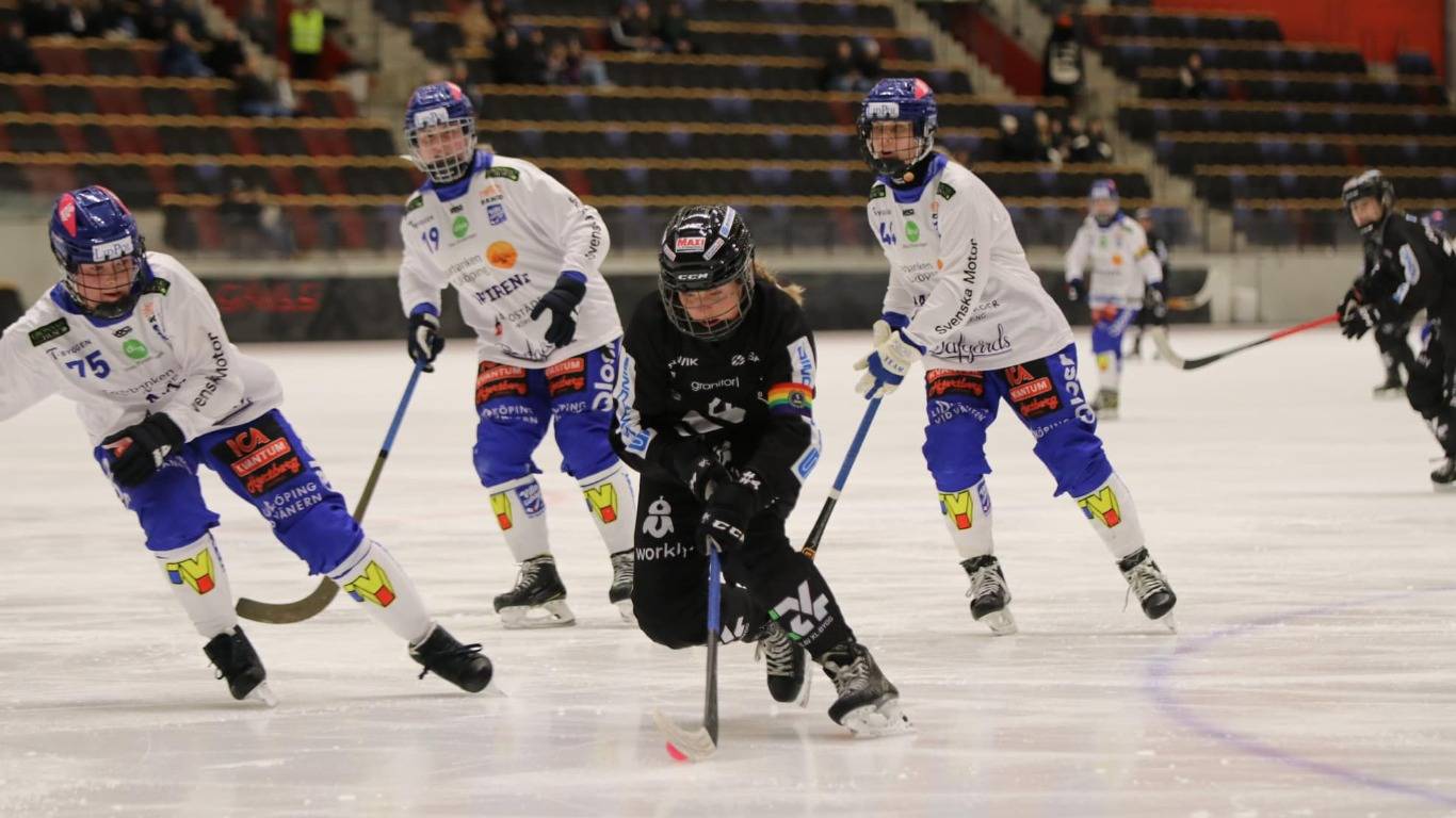 «Sandvikens AIK»-«Villa Lidköping BK» 26 Okt Elitserien Dam 2024-25