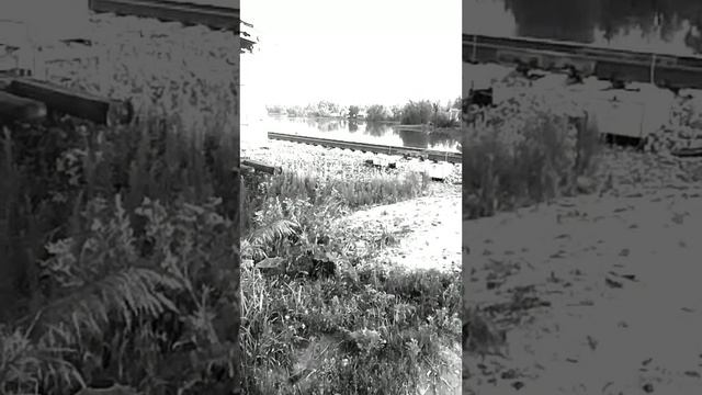 Замедленная съёмка поезда 🚆