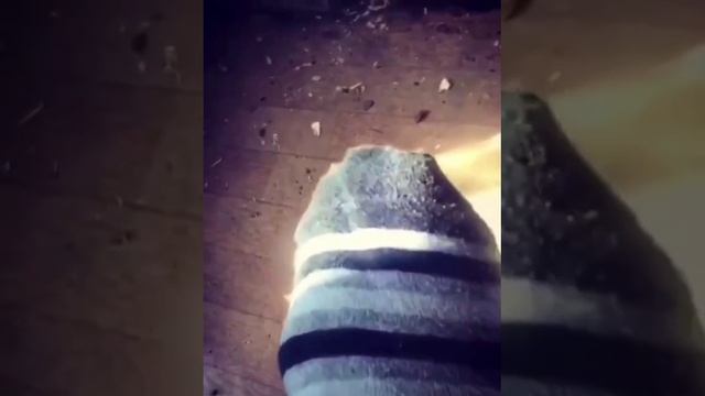 Брутальные носки у мужика)))))